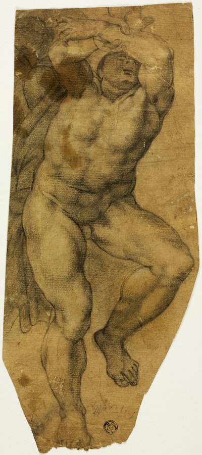 Stijgende mannelijke naakt door Michelangelo Buonarroti