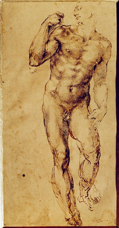 Studie van een staande naakte man door Michelangelo Buonarroti