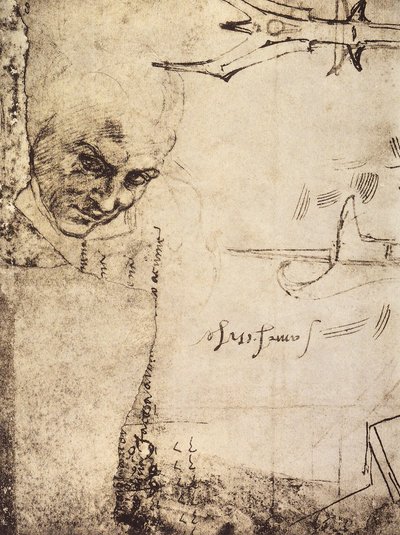 Gezicht door Michelangelo Buonarroti
