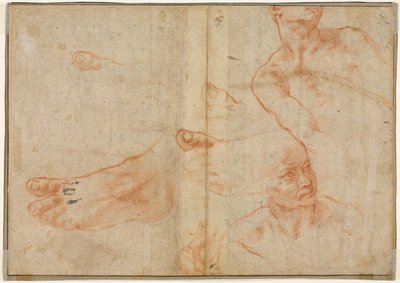 Figurenstudies voor het Plafond van de Sixtijnse Kapel (verso) door Michelangelo Buonarroti