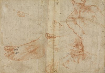 Figurenstudies voor het plafond van de Sixtijnse Kapel door Michelangelo Buonarroti