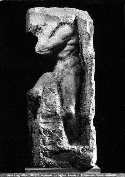 Vooraanzicht van Michelangelo Buonarroti