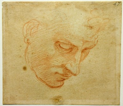Hoofdstudie voor het plafond van de Sixtijnse Kapel, ca. 1509-1510 door Michelangelo Buonarroti