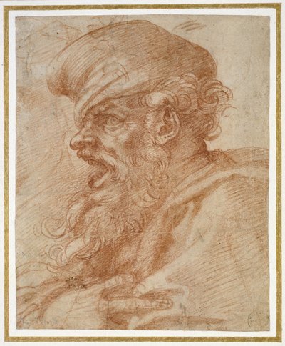 Hoofd van een schreeuwende bebaarde man, ca. 1525 door Michelangelo Buonarroti
