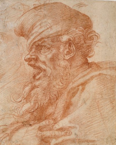 Hoofd van een schreeuwende bebaarde man door Michelangelo Buonarroti