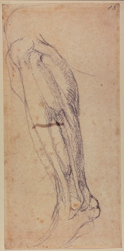Beenstudie door Michelangelo Buonarroti