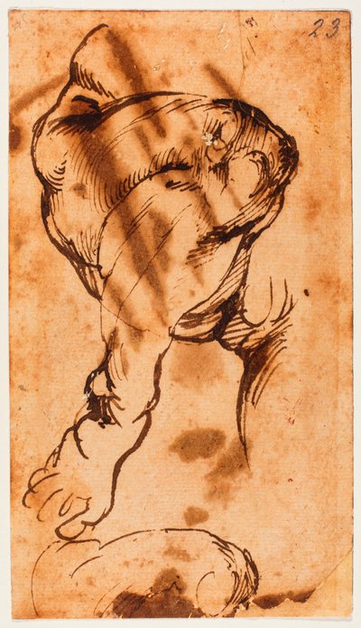 Beenstudie voor het kind in de Doni Tondo door Michelangelo Buonarroti