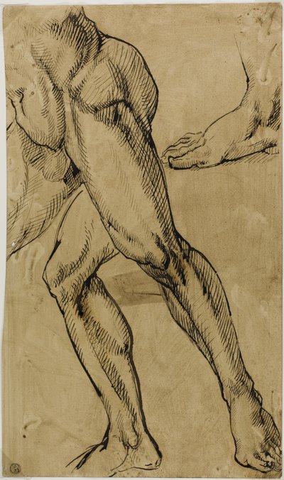 Benen en Voeten van Mannelijke Naakt door Michelangelo Buonarroti