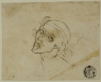Mannelijk hoofd door Michelangelo Buonarroti