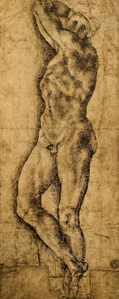 Mannelijk naakt; tekening door Michelangelo door Michelangelo Buonarroti