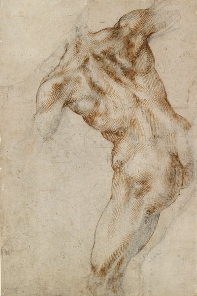 Naakt mannelijk torso, begin 16e eeuw door Michelangelo Buonarroti