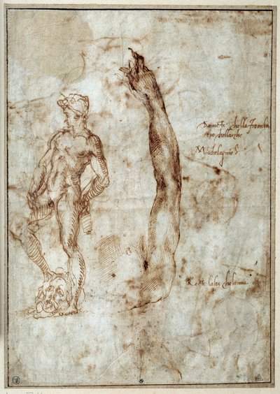 Naaktstudie. Michelangelo Buonarroti, bekend als Michelangelo door Michelangelo Buonarroti