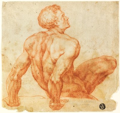 Zittende Mannelijke Naakt door Michelangelo Buonarroti