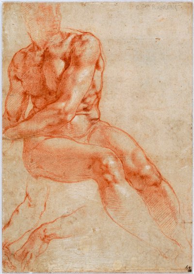 Zittende jonge mannelijke naakt en twee armstudies, ca. 1510-1511 door Michelangelo Buonarroti