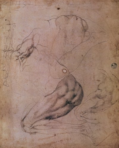 Sixtijnse Kapel Plafond (1508-12): schetsen van de figuur van Eva uit de scène van De Oerzonde door Michelangelo Buonarroti