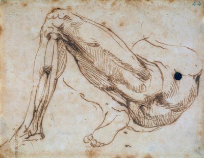 Studie van een been door Michelangelo Buonarroti
