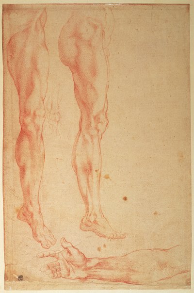 Studies van benen en armen door Michelangelo Buonarroti