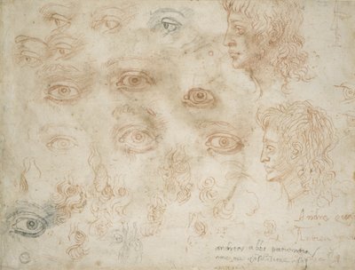 Studies van twee hoofden, c.1525 door Michelangelo Buonarroti