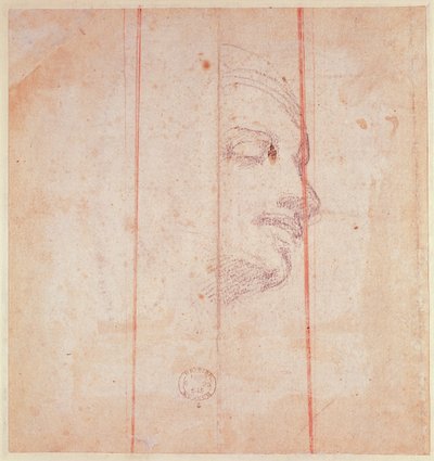 Studie voor het hoofd van de Libische Sibylle door Michelangelo Buonarroti