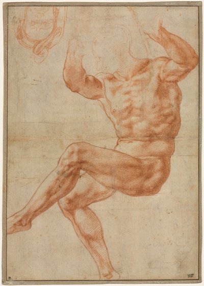 Studie voor de Naakte Jeugd boven de Profeet Daniël recto, 1510-1511 door Michelangelo Buonarroti