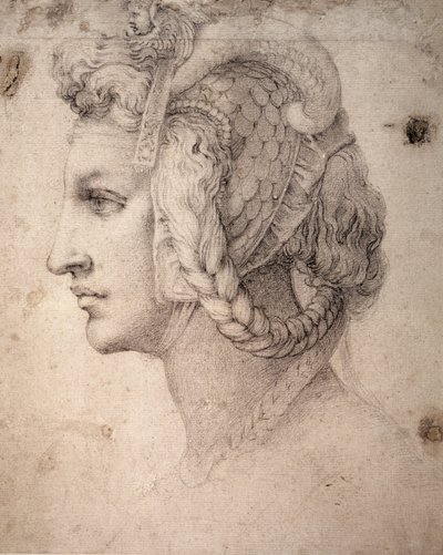 Studie van hoofd door Michelangelo Buonarroti