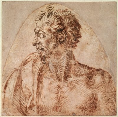 Studie van Hoofd en Schouders door Michelangelo Buonarroti