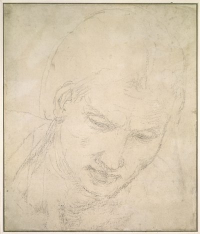 Studie van een Hoofd door Michelangelo Buonarroti