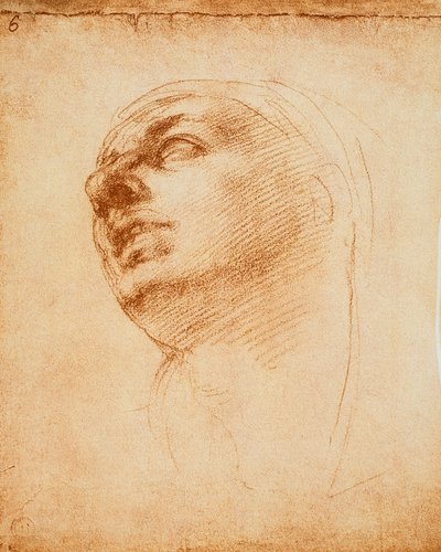 Studie van een gezicht door Michelangelo Buonarroti