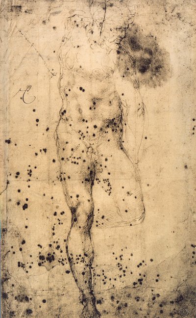 Studie van een mannelijk naakt met opgetrokken linkerbeen, Louvre Museum, Parijs door Michelangelo Buonarroti