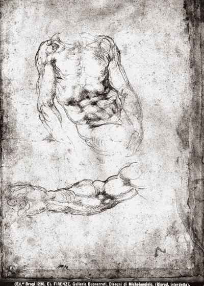 Studie van een mannelijk torso en arm door Michelangelo Buonarroti