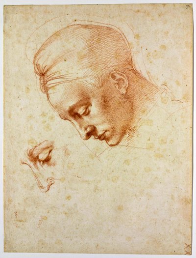 Studie naar het hoofd van Leda, ca 1530 door Michelangelo Buonarroti