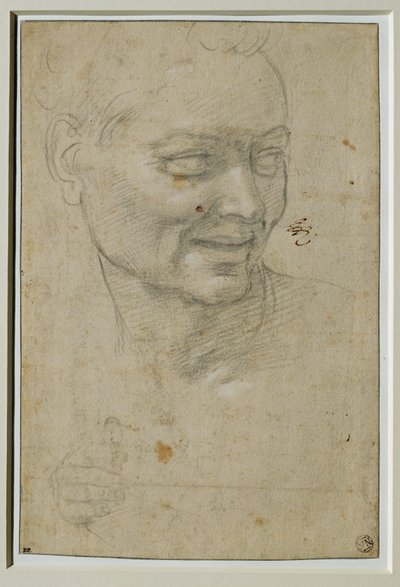 Hoofd en rechterhand van de ignudo boven en links van Jesaja, bij het gewelf van de Capella Sistina ... door Michelangelo Buonarroti