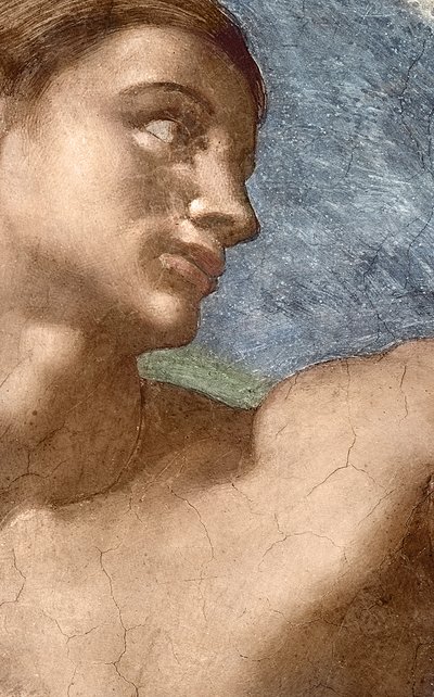 De Schepping van Adam, detail van Adams hoofd door Michelangelo Buonarroti