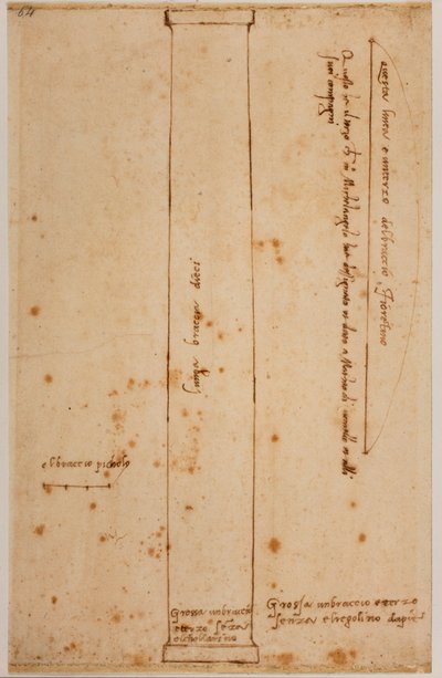 Verticale doorsnede van een kolom voor de gevel van San Lorenzo door Michelangelo Buonarroti