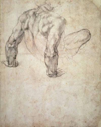 W.63r Studie van een mannelijk naakt, leunend op zijn handen door Michelangelo Buonarroti