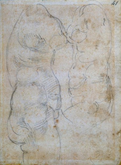 Twee studies naar een antiek vrouwentorso door Michelangelo Buonarroti