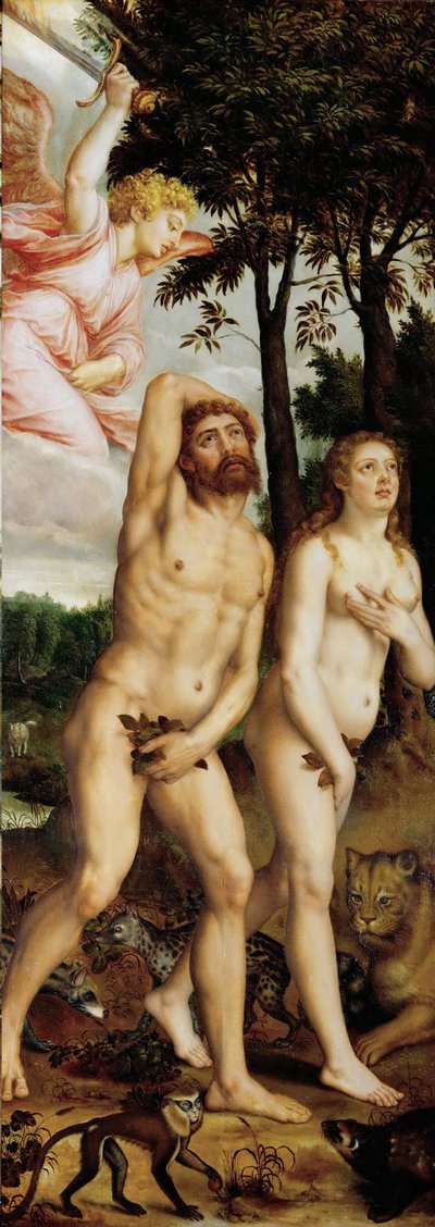 De val van de mens door Michiel I Coxie or Coxcie