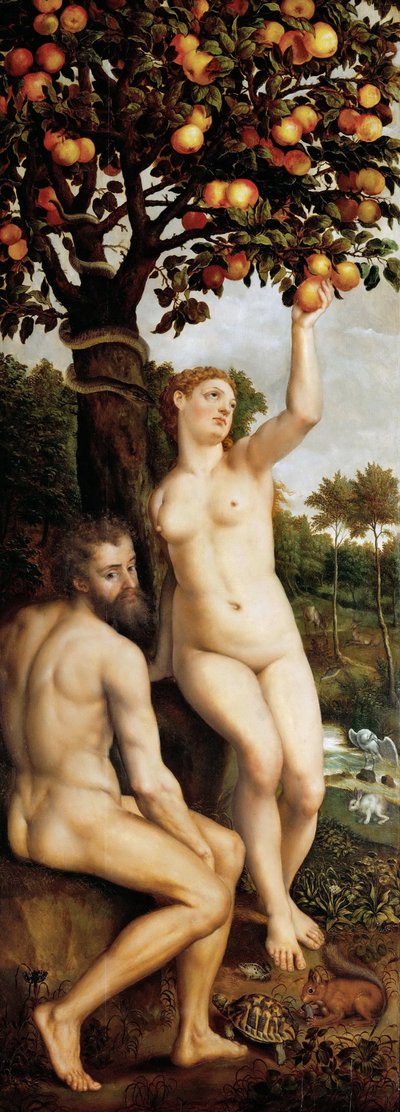 De val van de mens door Michiel I Coxie or Coxcie
