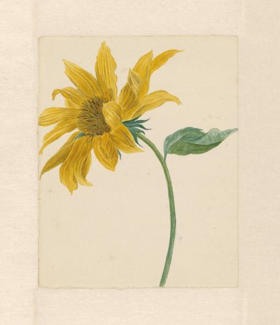 Tak met een zonnebloem door Michiel Van Huysum