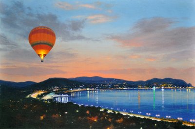 Nachtvlucht, 2016 (olieverf op linnen) door Mike Briscoe