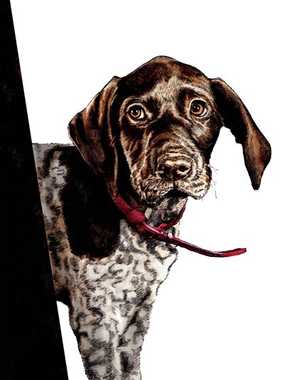 Vaarwel Puppy op Wit, 2020 door Mike Davis