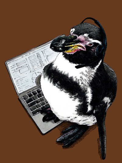 Nieuwe Baan Pinguïn op Gebrand Oranje, 2020 door Mike Davis