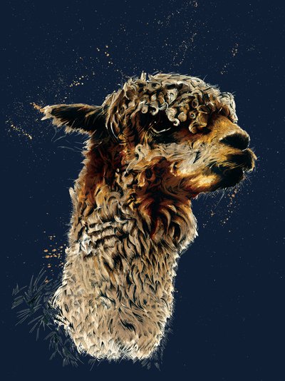 De Alpaca op Middernacht Blauw, 2020 door Mike Davis