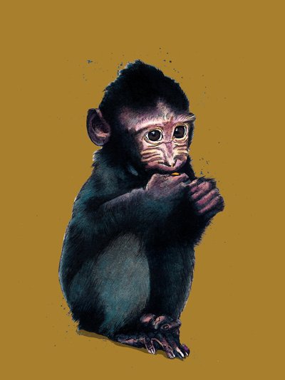 De Baby Makaak op Goudgeel, 2020 door Mike Davis