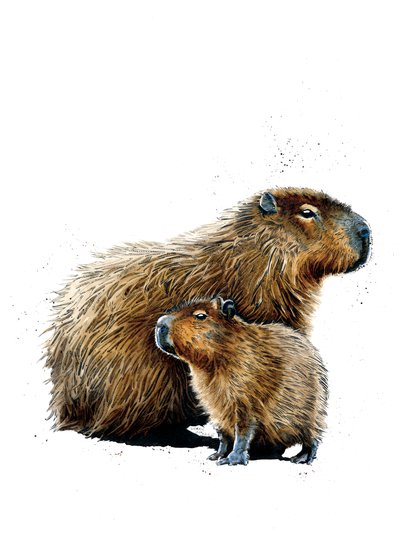 De Capibara