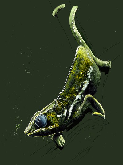 De Kameleon op Bosgroen door Mike Davis