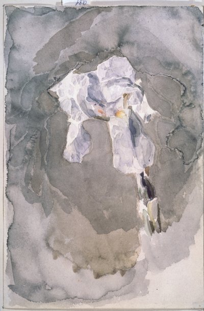 Witte iris door Mikhail Aleksandrovich Vrubel