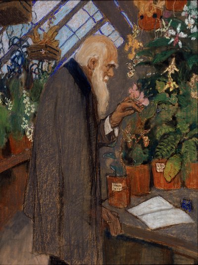Portret van wetenschapper Charles Robert Darwin (1809-1882) die planten onderzoekt in de kas van Langdon-Down door Mikhail Dmitrievich Ezuchevsky