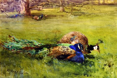 Pauwen door Mildred Anne Butler