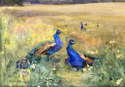 Pauwen in een Veld door Mildred Anne Butler
